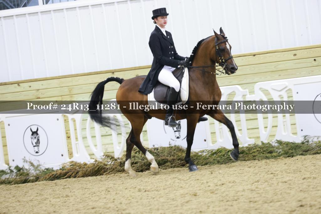Proof 24R13_11281