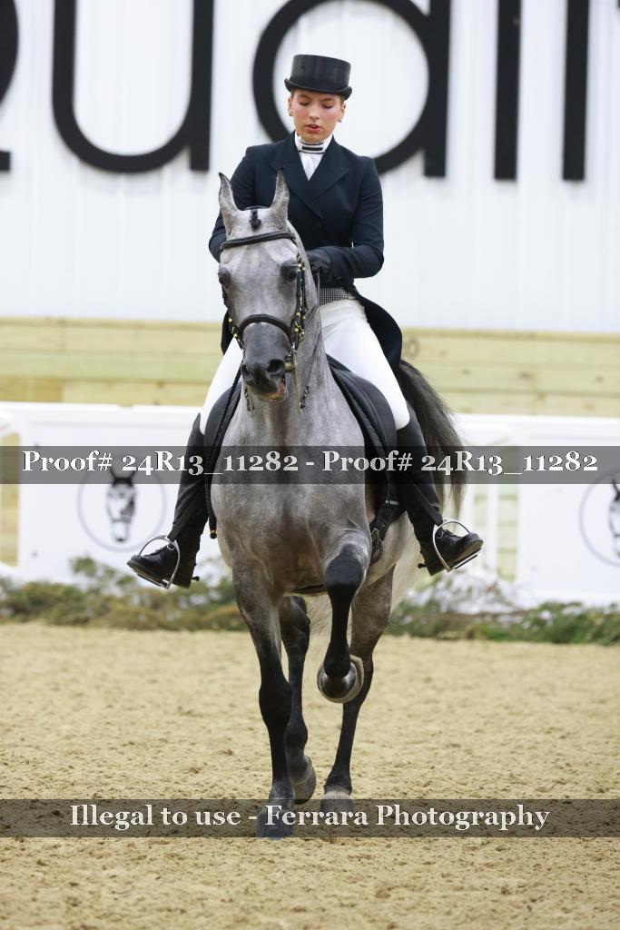 Proof 24R13_11282