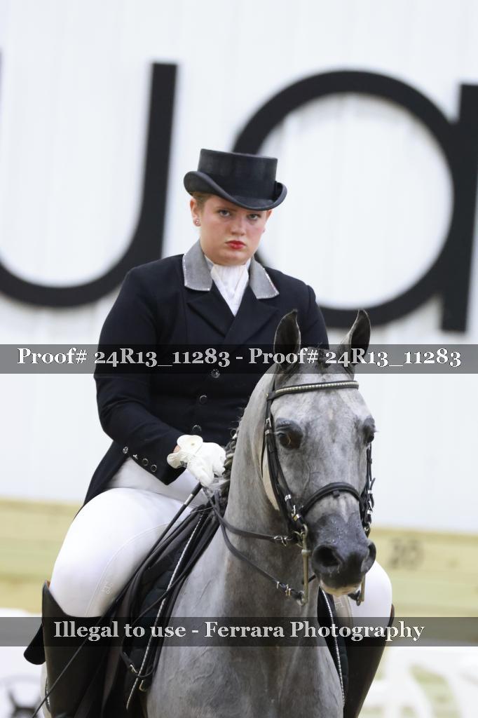 Proof 24R13_11283