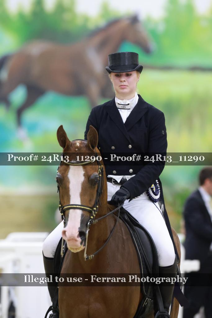 Proof 24R13_11290