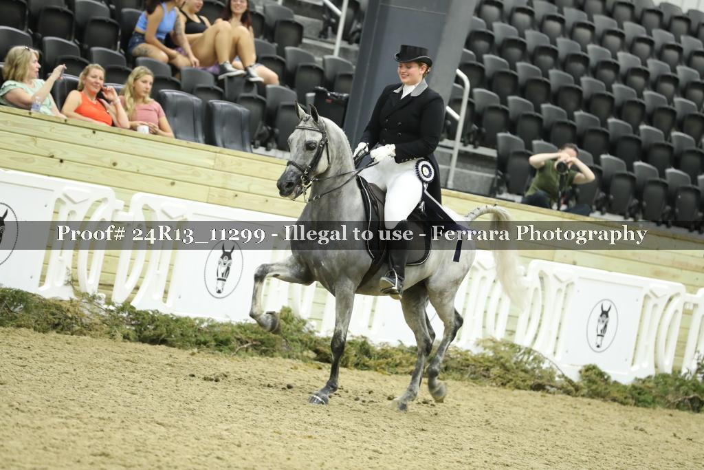 Proof 24R13_11299