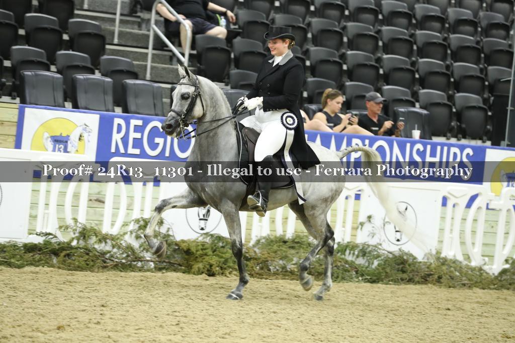 Proof 24R13_11301