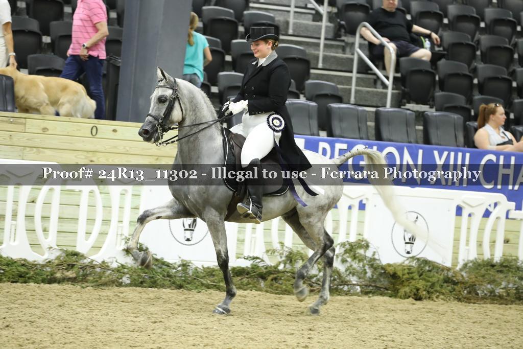 Proof 24R13_11302