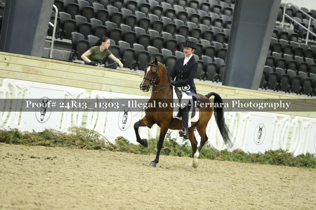 Proof 24R13_11303