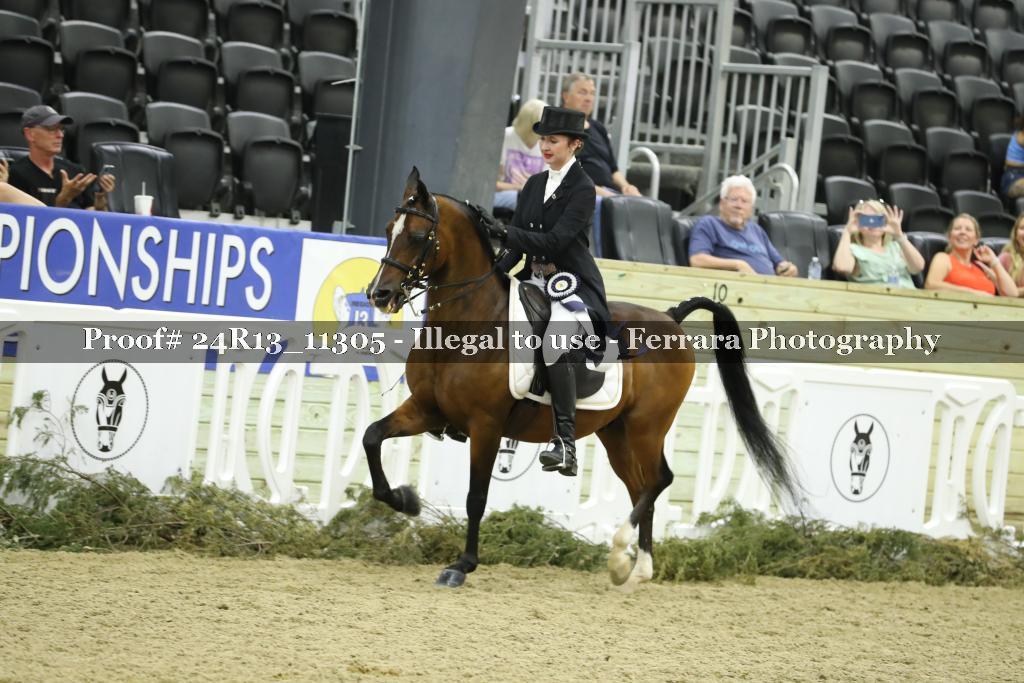 Proof 24R13_11305