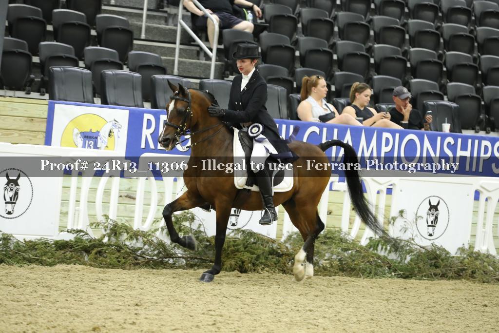 Proof 24R13_11306