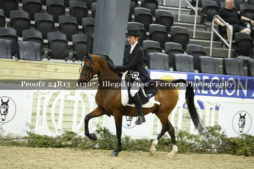 Proof 24R13_11307