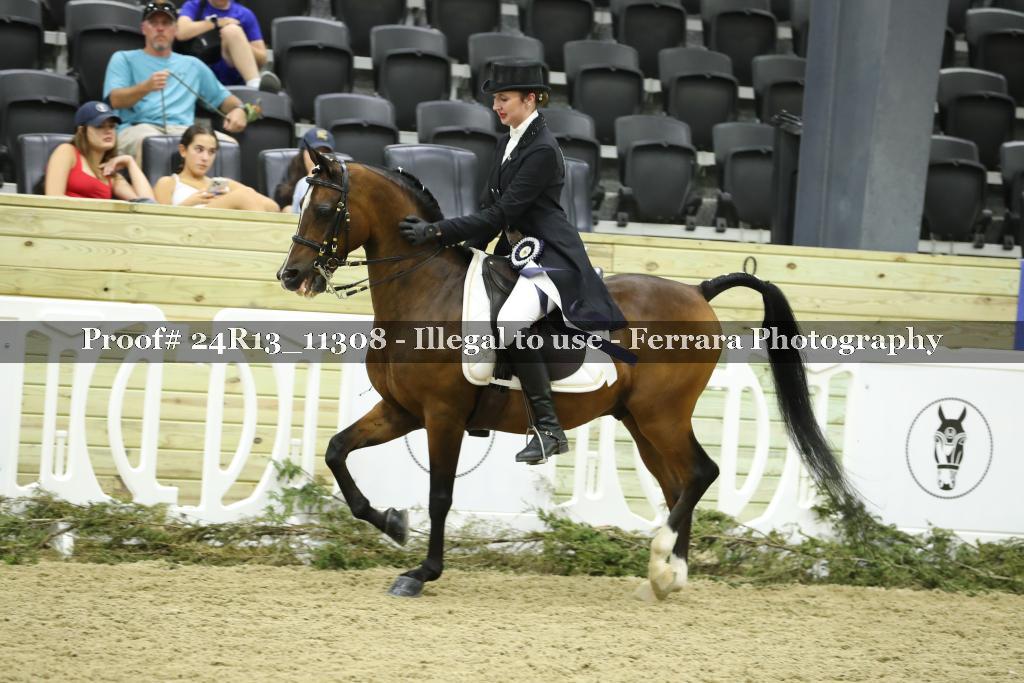 Proof 24R13_11308