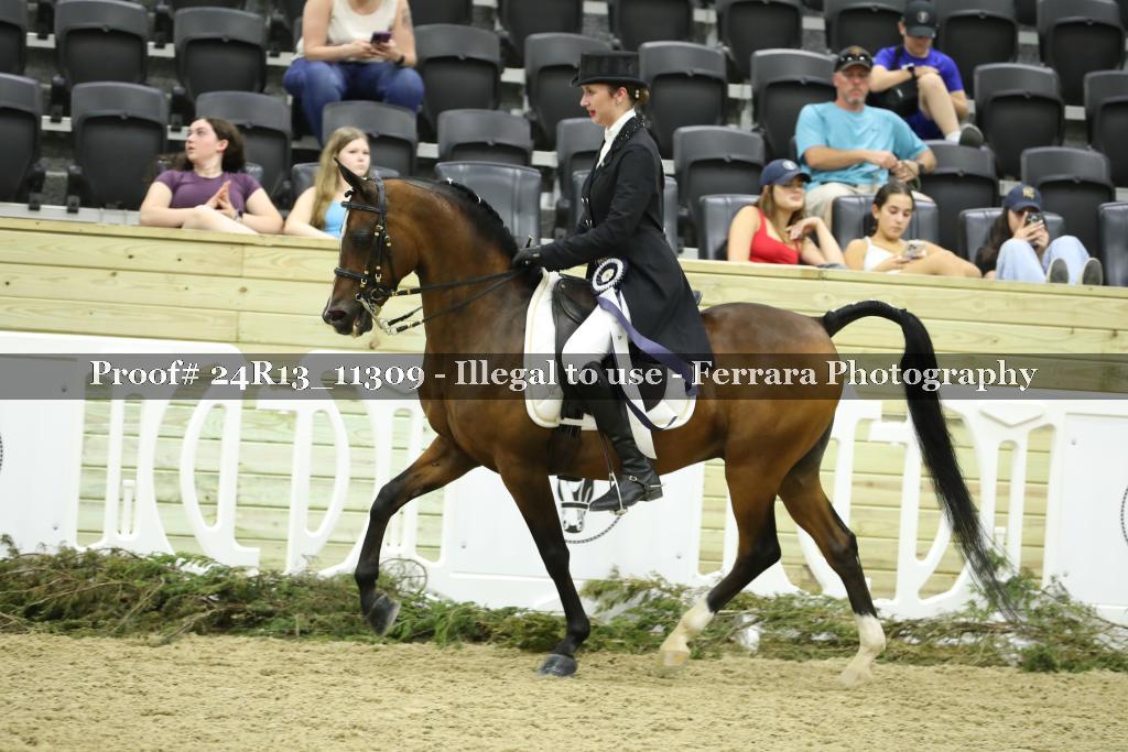 Proof 24R13_11309