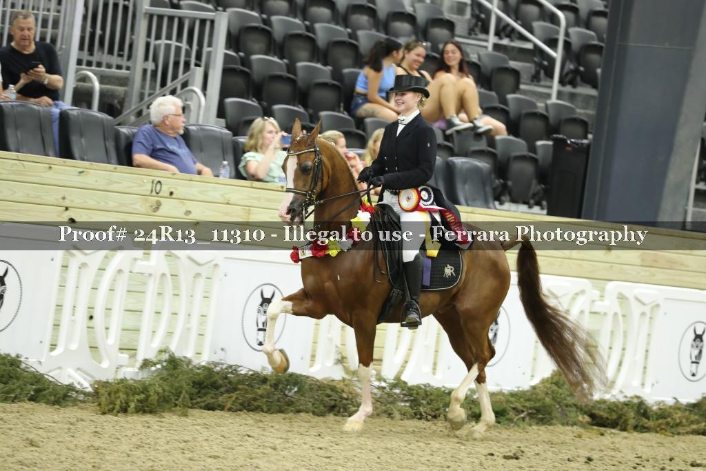 Proof 24R13_11310