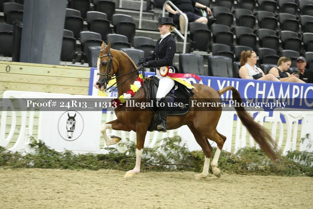 Proof 24R13_11313