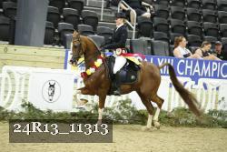 24R13_11313 proof