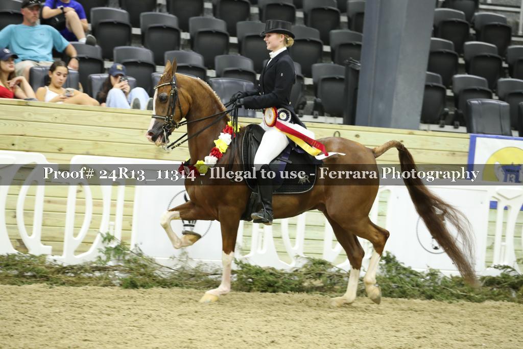 Proof 24R13_11314