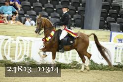 24R13_11314 proof