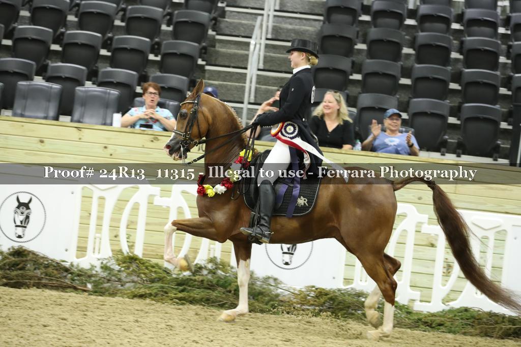 Proof 24R13_11315