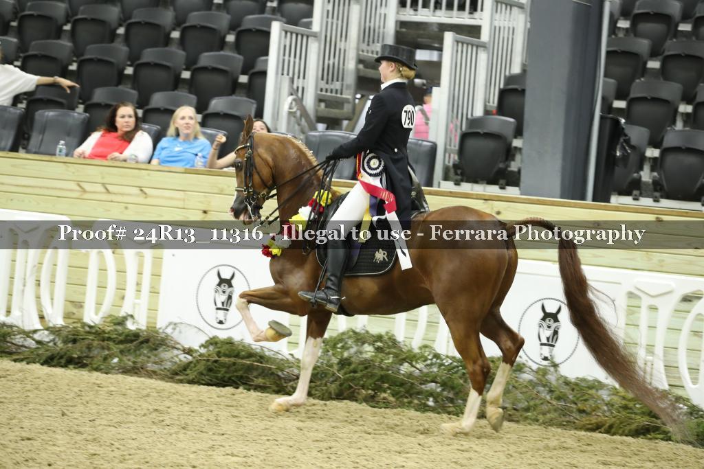 Proof 24R13_11316