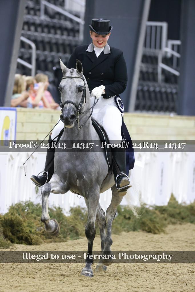 Proof 24R13_11317