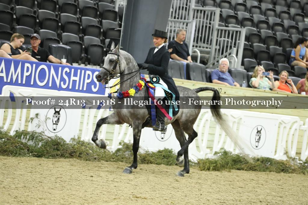 Proof 24R13_11318