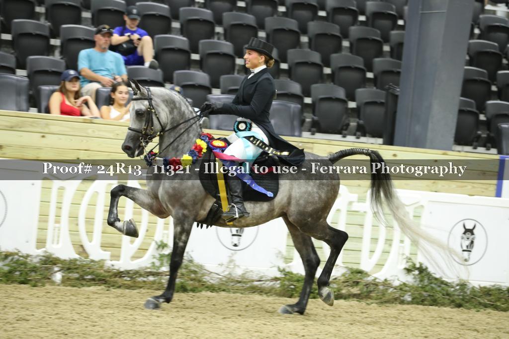 Proof 24R13_11321