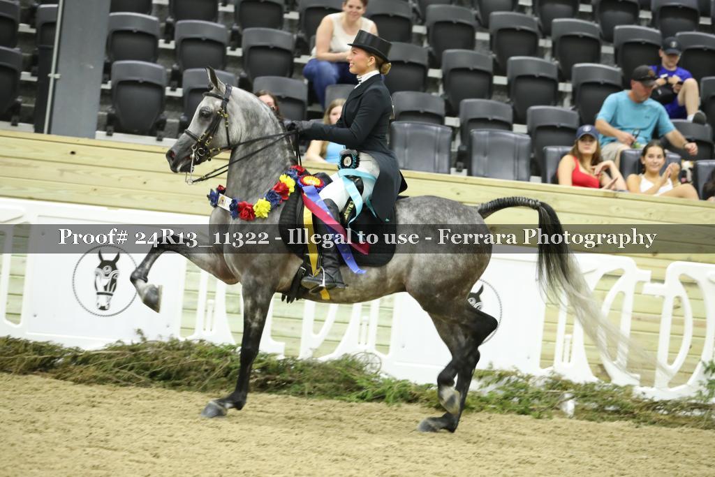 Proof 24R13_11322