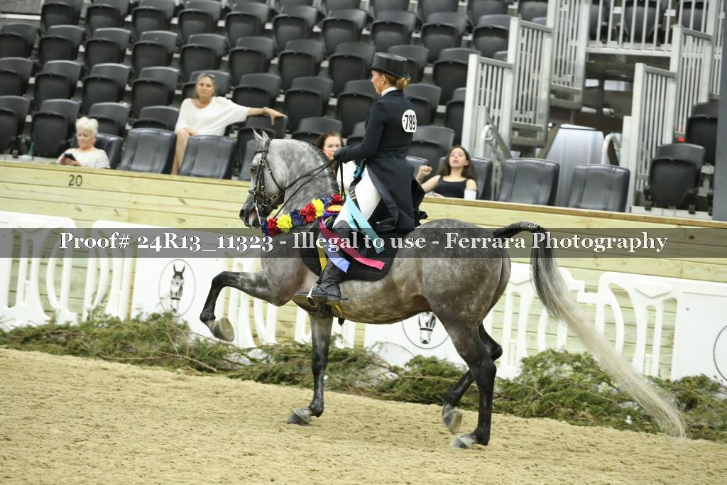 Proof 24R13_11323