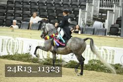 24R13_11323 proof