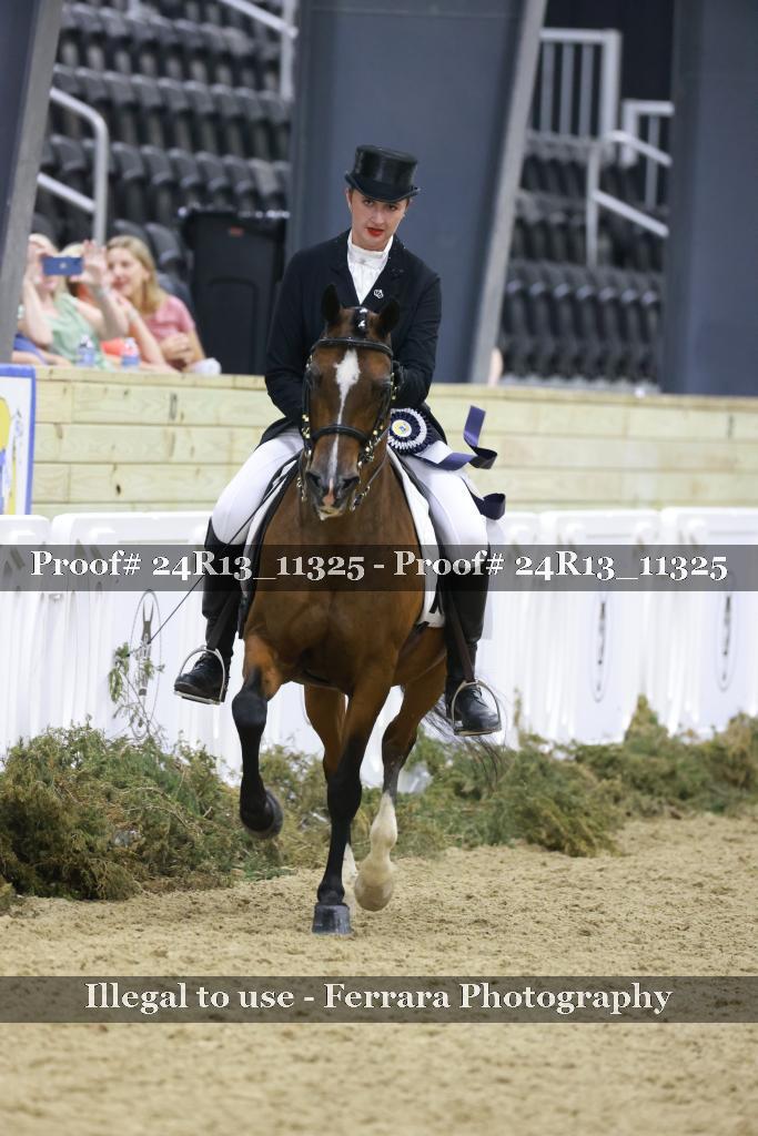 Proof 24R13_11325