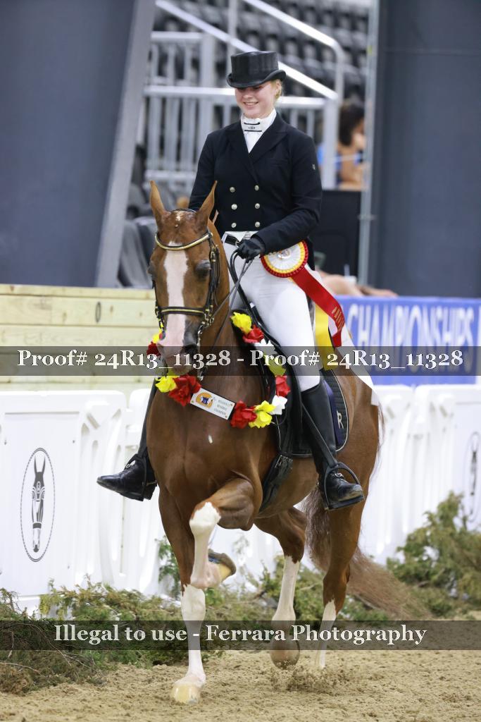Proof 24R13_11328