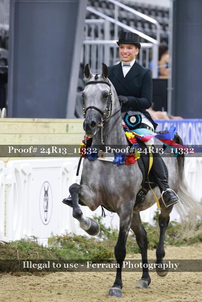 Proof 24R13_11332