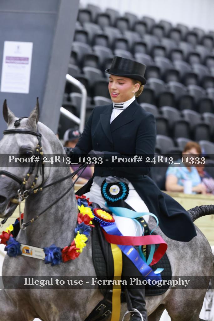 Proof 24R13_11333