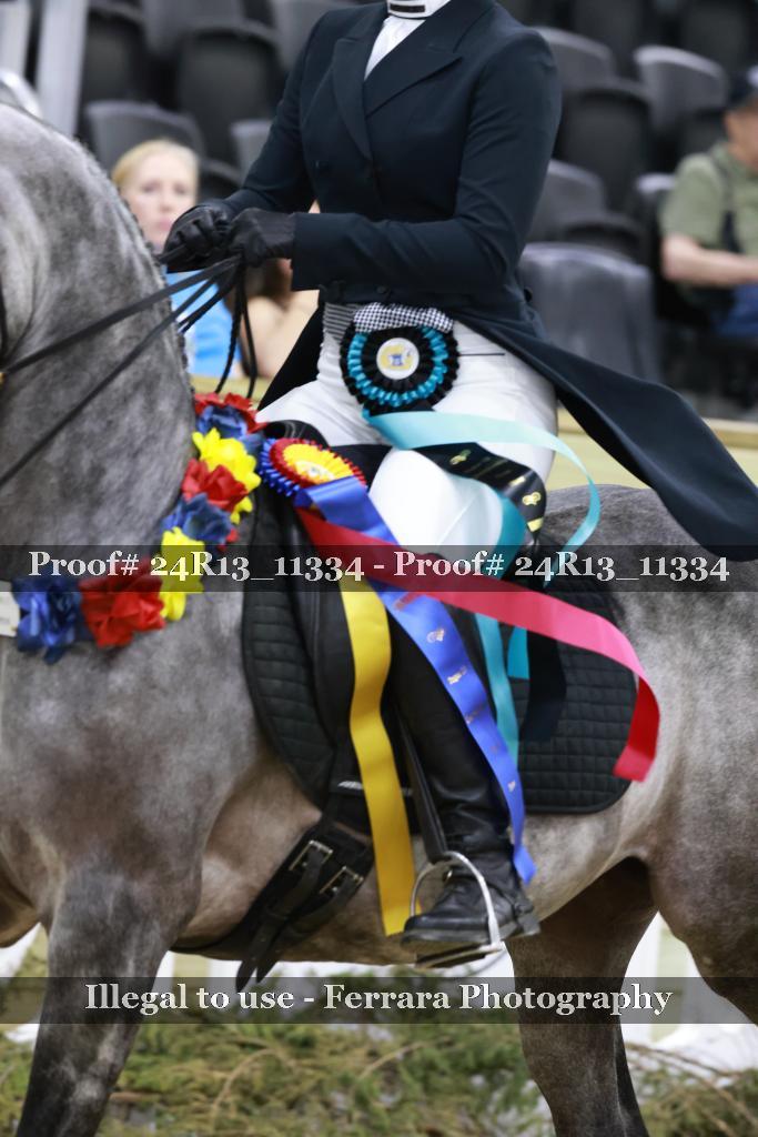 Proof 24R13_11334