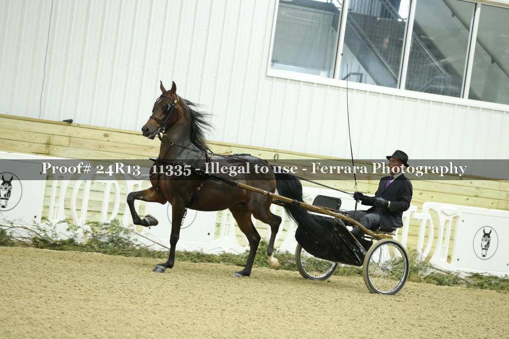 Proof 24R13_11335