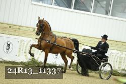 24R13_11337 proof