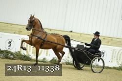24R13_11338 proof