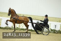 24R13_11339 proof