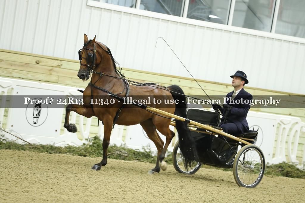 Proof 24R13_11340