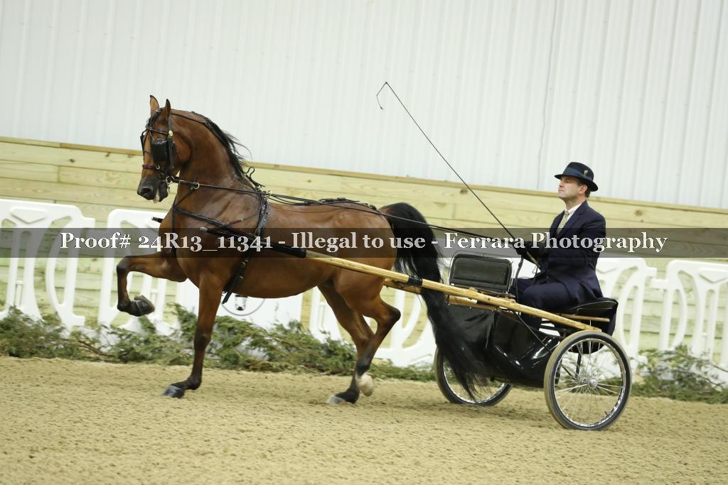 Proof 24R13_11341