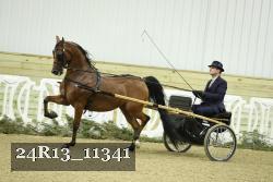 24R13_11341 proof