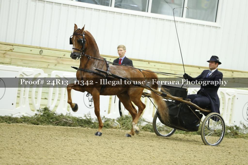 Proof 24R13_11342