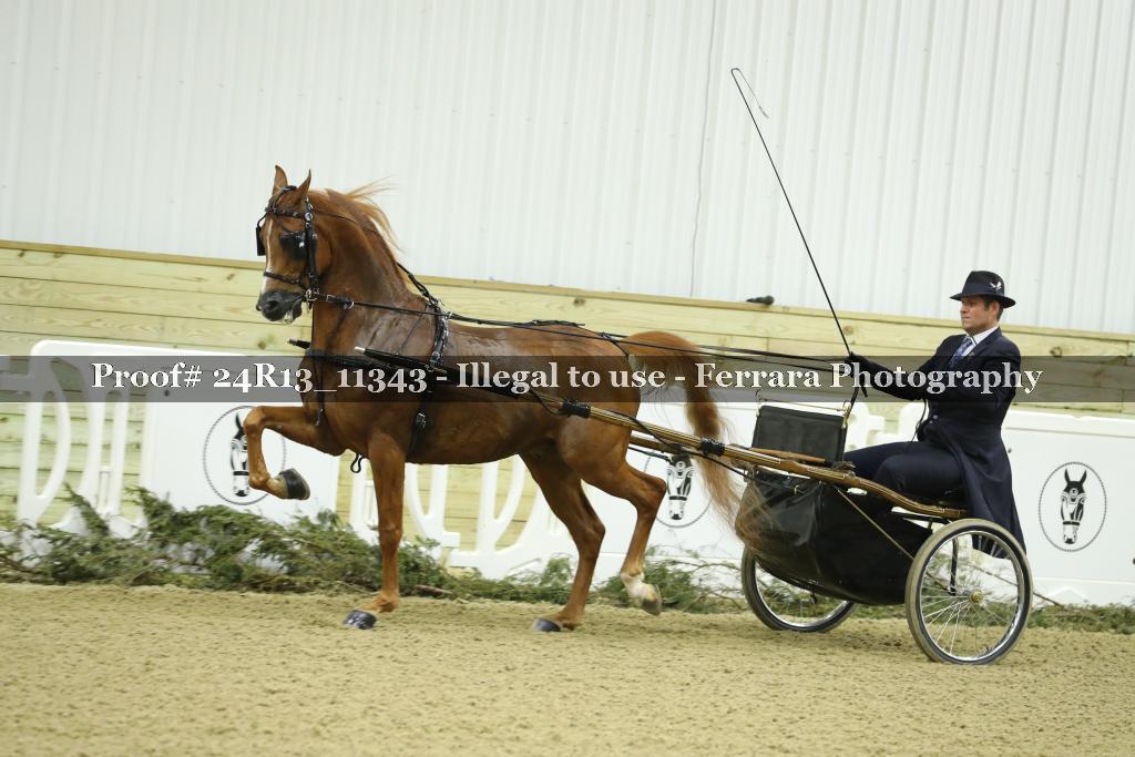 Proof 24R13_11343