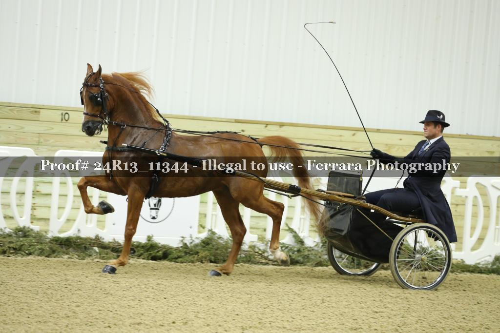 Proof 24R13_11344