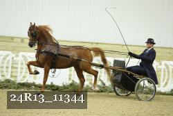 24R13_11344 proof