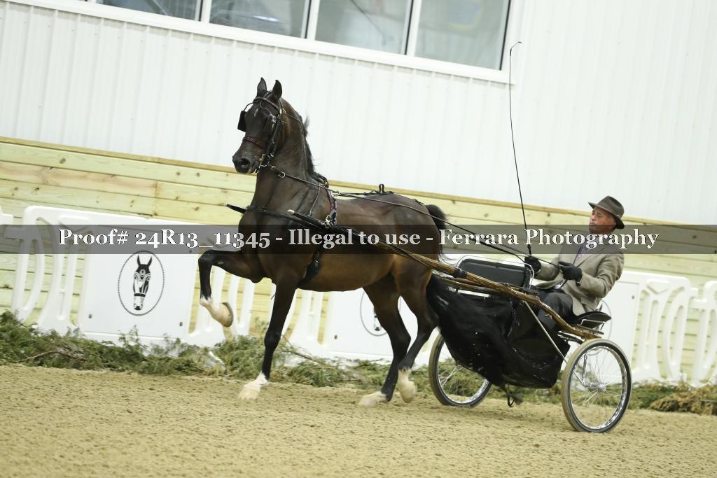 Proof 24R13_11345