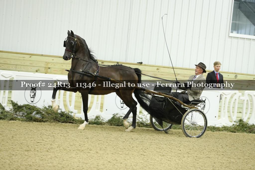 Proof 24R13_11346