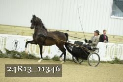 24R13_11346 proof