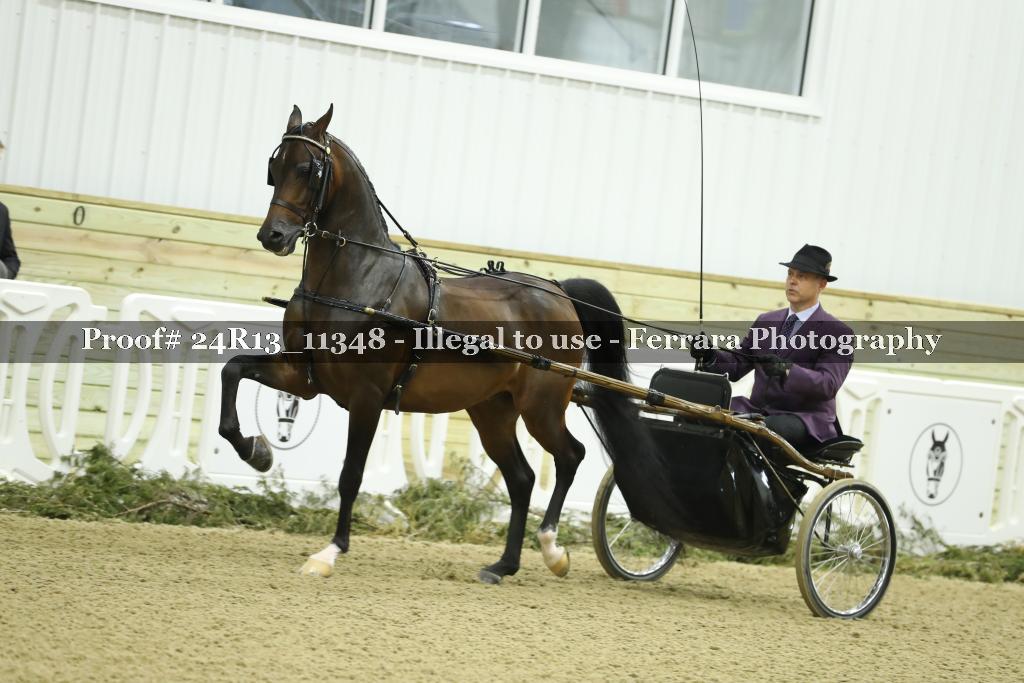 Proof 24R13_11348