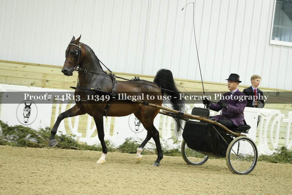 Proof 24R13_11349