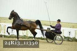 24R13_11350 proof