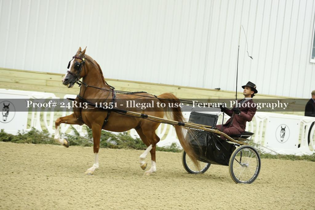Proof 24R13_11351