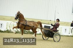 24R13_11351 proof